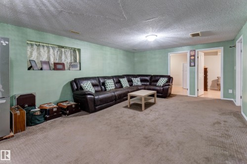 Carpeted flooring throughout a spacious room with light green walls - 3519 22 Street Nw, Edmonton, AB 