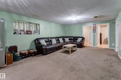 Carpeted flooring throughout a spacious room with light green walls - 