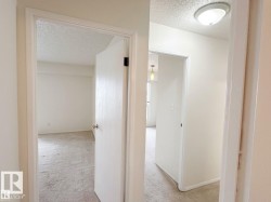 White interior walls, white trim, and light-colored carpeting - 