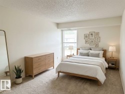 Neutral wall tones, carpeted flooring, and a large window providing natural light - 