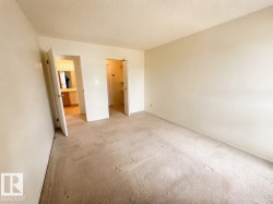 Neutral tone wall paint, textured ceiling, and neutral tone carpet - 