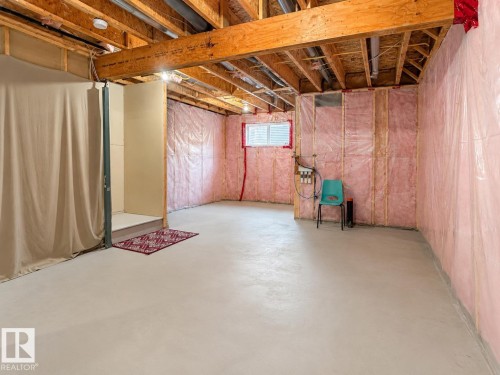 20312 42 Avenue Nw, Edmonton, AB - Indoor Photo Showing Basement