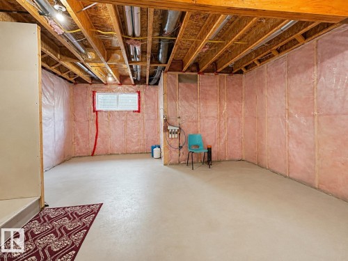 20312 42 Avenue Nw, Edmonton, AB - Indoor Photo Showing Basement