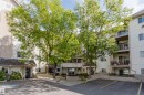 Multi-story building featuring balconies, mature trees, and a paved parking area - #316 17109 67 Av Nw, Edmonton, AB 