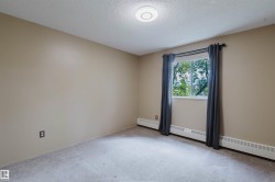 Neutral-toned walls complement the textured carpet flooring - 