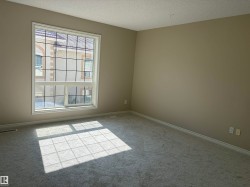 Neutral-toned walls complement plush carpet flooring - 