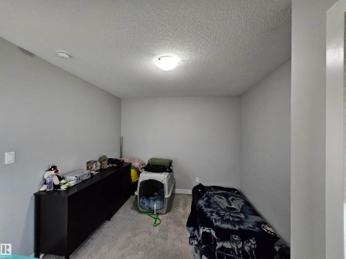 Carpeted room with light gray walls and a ceiling-mounted light fixture - 13309 128 Street Nw, Edmonton, AB 