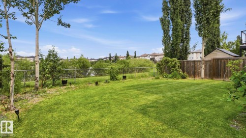 Expansive fenced backyard featuring a manicured lawn, mature trees, and a wooden storage shed - 6116 53 Avenue, Beaumont, AB - Outdoor
