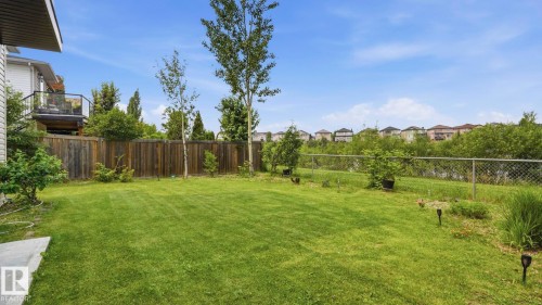 Spacious backyard featuring a lush lawn, mature trees, wood privacy fencing, and a chain-link perimeter fence - 6116 53 Avenue, Beaumont, AB - Outdoor