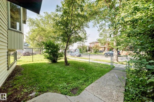 Front yard with a concrete walkway, mature trees, and a chain-link fence - 12721 117 Street Nw, Edmonton, AB 