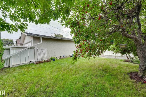 14203 61 Street Nw, Edmonton, AB 