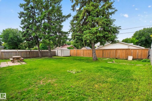 Expansive green lawn with mature evergreen trees, bordered by a wood fence, and featuring a metal storage shed - 2 Grandora Crescent, St. Albert, AB 