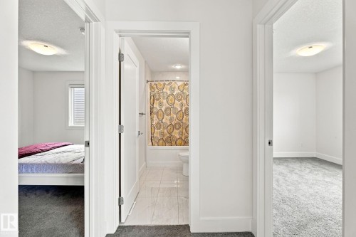 White interior doors, white trim throughout, and gray carpeting - 4530 Saly Place Sw, Edmonton, AB 