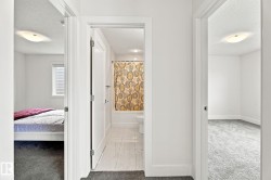 White interior doors, white trim throughout, and gray carpeting - 