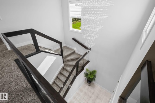 Carpeted staircase with dark wood-finish handrails and glass panels - 2019 Ware Rd Nw, Edmonton, AB 