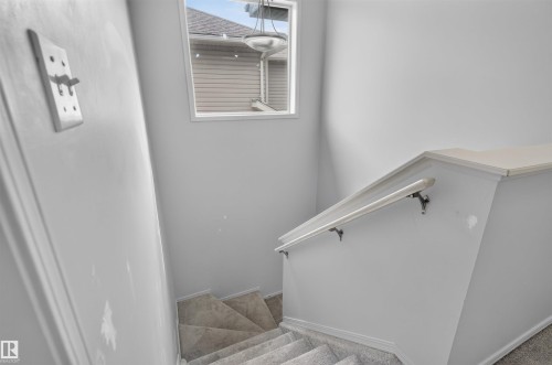 9110 Scott Crescent Nw, Edmonton, AB 