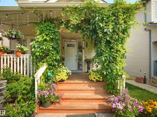 Inviting front porch featuring natural wood steps and a white railing - 1216 29 Avenue Nw, Edmonton, AB - Outdoor