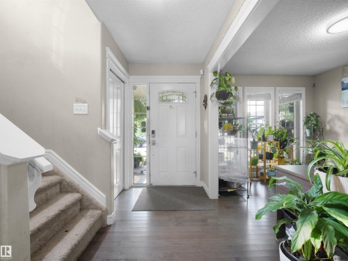 Entryway featuring a white paneled front door with decorative glass, hardwood-finish flooring, a carpeted staircase with white trim, and a bright interior with multiple windows - 1216 29 Avenue Nw, Edmonton, AB - Indoor Photo Showing Other Room