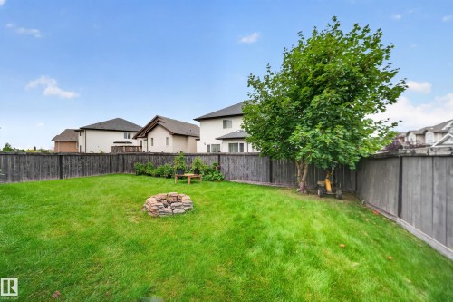 Expansive grassy backyard featuring a stone-ringed fire pit, mature tree, and full perimeter wood fencing - 6904 18 Avenue Sw, Edmonton, AB 