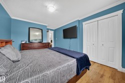 Wood-finish flooring, white bi-fold closet doors, ceiling light fixture, and crown molding - 