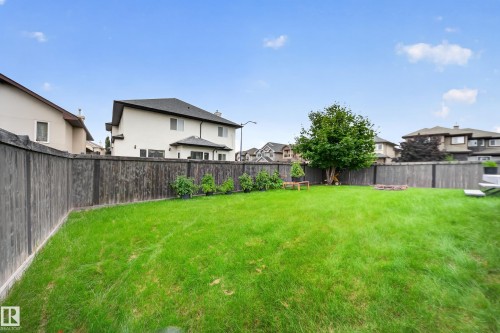 Expansive backyard featuring a large grass lawn, perimeter wood fencing, and a mature tree - 6904 18 Avenue Sw, Edmonton, AB 