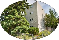 #301 9505 77 AV NW  Edmonton, AB T6C 0M3