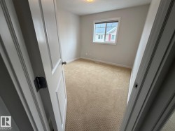 Neutral wall paint, carpet flooring, a window with trim, and a ceiling light fixture - 