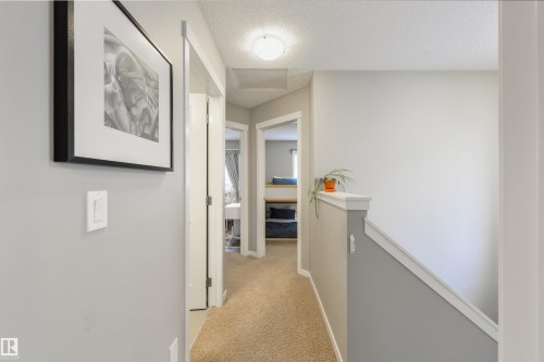 5228 20 Avenue Sw, Edmonton, AB 