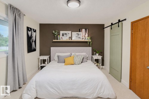 Barn door featuring a matte black track and sage green paneling - 3911 117 Street Nw, Edmonton, AB 