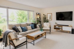 Expansive window wall with roller shades, light-toned wall paint, neutral carpet flooring, and a built-in media console - 