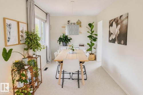Light-toned wall finishes, carpeted flooring, and a large window with drapes - 3911 117 Street Nw, Edmonton, AB 