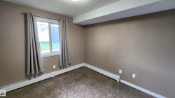 Neutral-toned wall finish, wall-to-wall carpeting, and white trim - 