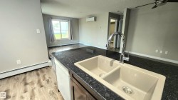 Kitchen island with dark countertop, dual basin sink, and gooseneck faucet - 