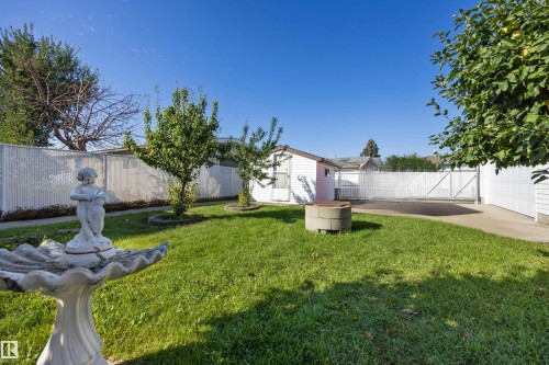 Expansive green lawn with mature trees and a concrete driveway - 14008 94 Street Nw, Edmonton, AB 