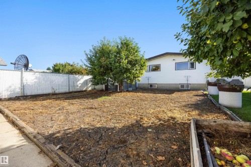 Fenced backyard featuring mature trees, a concrete walkway, and a raised garden bed - 14008 94 Street Nw, Edmonton, AB 