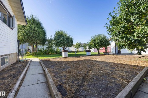 Expansive backyard with a concrete pathway, mature trees, and a garden bed - 14008 94 Street Nw, Edmonton, AB 