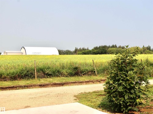 Expansive field with crops, framed by mature trees, featuring a large quonset building and an additional structure in the background - 5404 60Th Street, Barrhead, AB - Outdoor With View