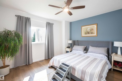 Bedroom featuring wood-finish flooring, a ceiling fan with integrated lighting, a single window, and a blue accent wall - 5404 60Th Street, Barrhead, AB - Indoor Photo Showing Bedroom