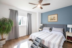 Bedroom featuring wood-finish flooring, a ceiling fan with integrated lighting, a single window, and a blue accent wall - 