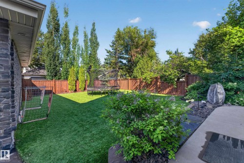 Artificial Turf in Backyard.  Massive oversized fenced yard. - 14308 97A Avenue Nw, Edmonton, AB 