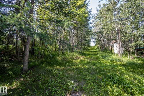 Grassed pathway bordered by a dense tree line, featuring varied foliage and a clear-cut path - 811 59209 Range Rd 95A, Rural St. Paul County, AB - Outdoor