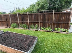 Private backyard featuring a manicured lawn, established garden beds, and a wood privacy fence - 