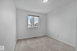 Soft neutral wall tones, textured carpet flooring, and a single window offering exterior views - 