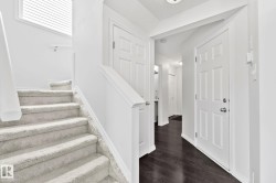 Staircase with light-toned carpeting and white railing - 