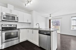Kitchen featuring white cabinetry, stainless steel appliances, dark wood-finish flooring, and a stone countertop - 