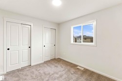 Plush carpeting, light neutral wall paint, white trim, sliding closet doors with black hardware, and a window with white framing - 