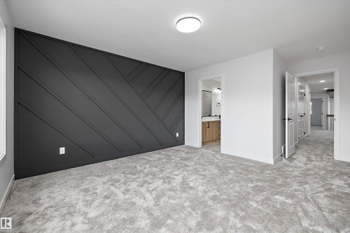 Accent wall with geometric paneling, light gray carpeting, flush-mount ceiling light, white interior doors, and a partial view of a bathroom vanity - 1780 Crossbill Loop Nw, Edmonton, AB 
