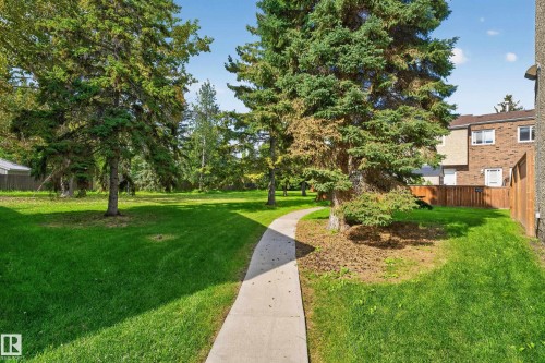Expansive green space featuring mature evergreen trees and a paved pathway - 18319 93 Avenue Nw, Edmonton, AB 