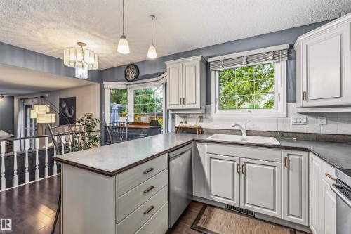 15915 112 Street Nw, Edmonton, AB - Indoor Photo Showing Kitchen With Double Sink