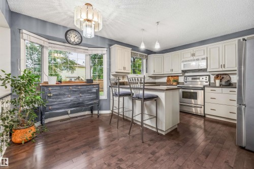 15915 112 Street Nw, Edmonton, AB - Indoor Photo Showing Kitchen With Stainless Steel Kitchen